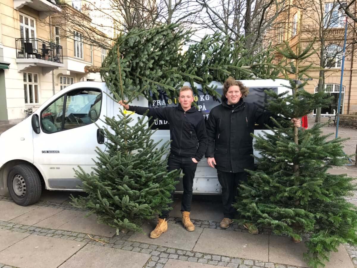 Juletræer til Alle: Vores Tilbud til Virksomheder, Institutioner og Private