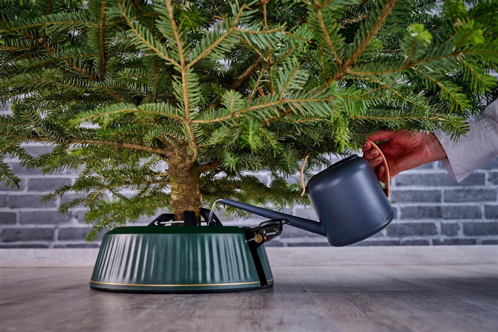 Juletræer i Potte: Hvorfor De Ikke Er Bæredygtige