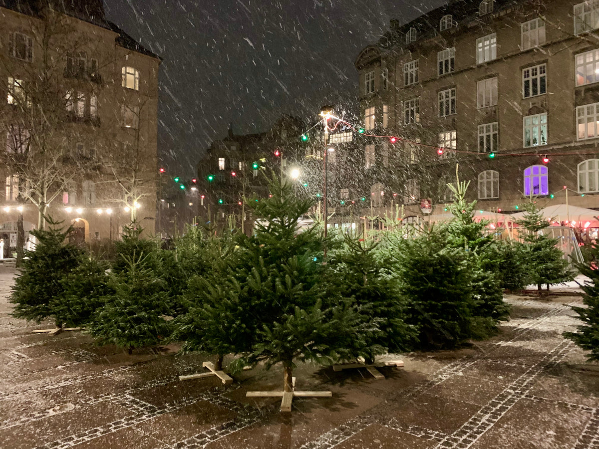 Et københavnsk juletræsfirma – siden 2014